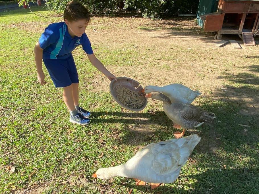 Pinbarren Green Lodges Noosa 외부 사진
