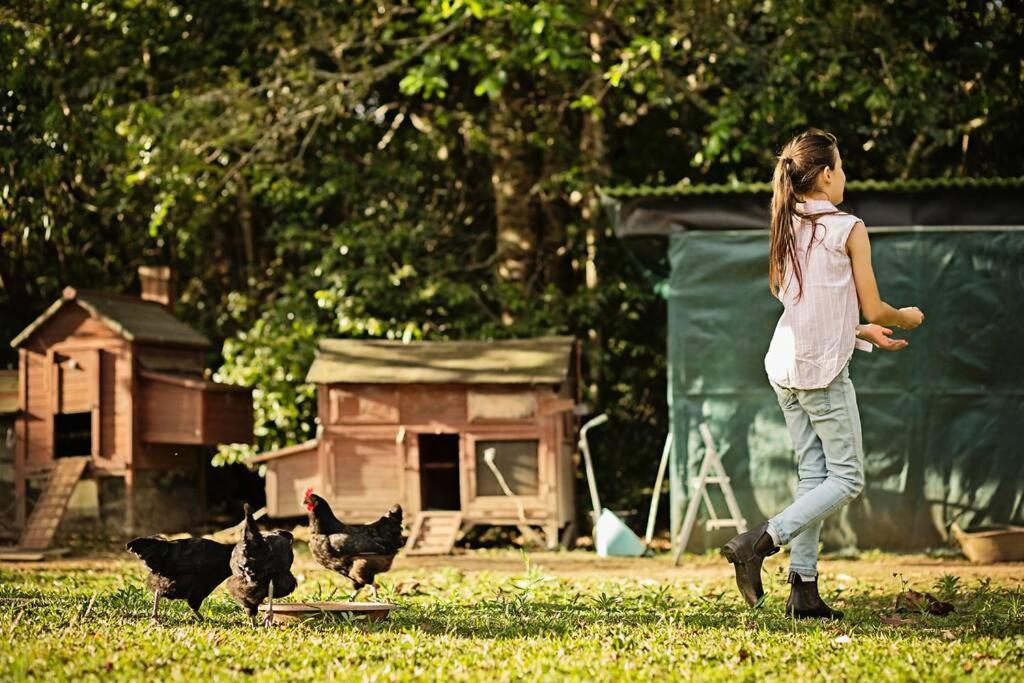 Pinbarren Green Lodges Noosa 외부 사진