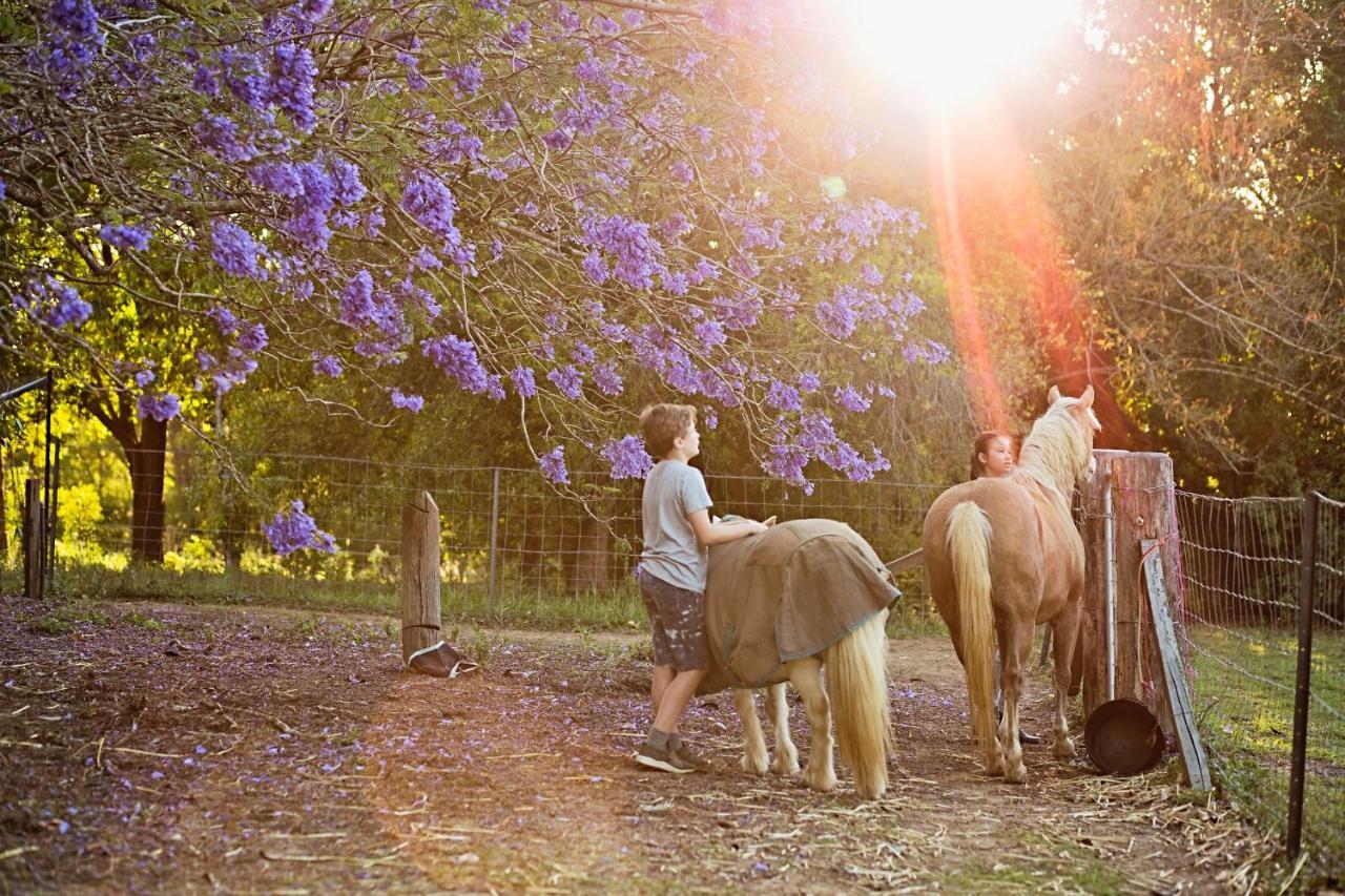 Pinbarren Green Lodges Noosa 외부 사진