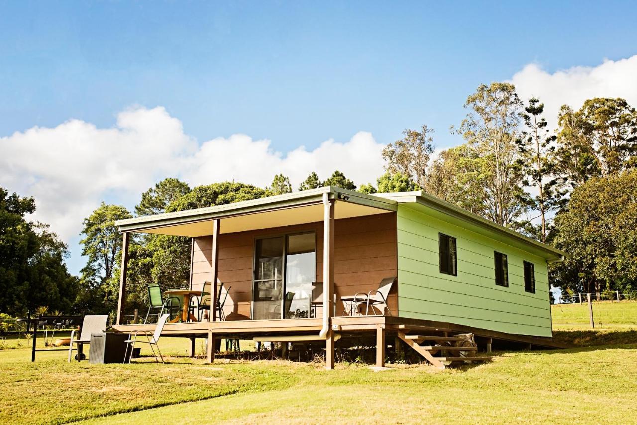 Pinbarren Green Lodges Noosa 외부 사진